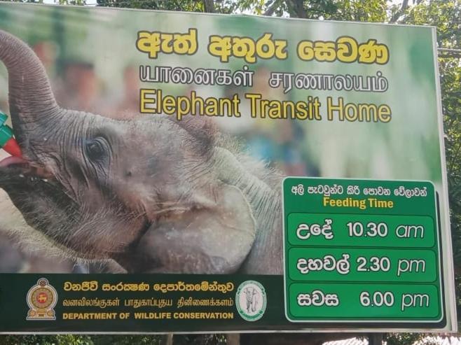 Udawalawe Wildlife & Nature Protection Bungalow Eksteriør bilde